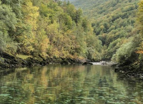 Rafteri podsjećaju na važnost vrednovanja posljednjih rijeka slobodnog toka