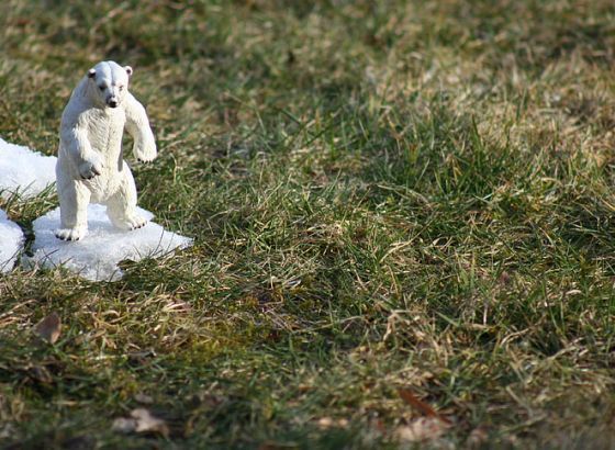 Naučnici jasni i glasni: Klima ne može čekati kraj pandemije!