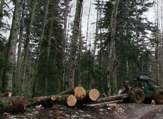Planinarski savez KS - Crvena linija zaštite prirode i planina odavno pređena