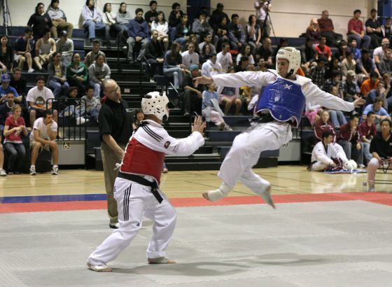 Taekwondo klub 'Šampion' osvojio 17 medalja na Kupu BiH i Bosna Visoko Open