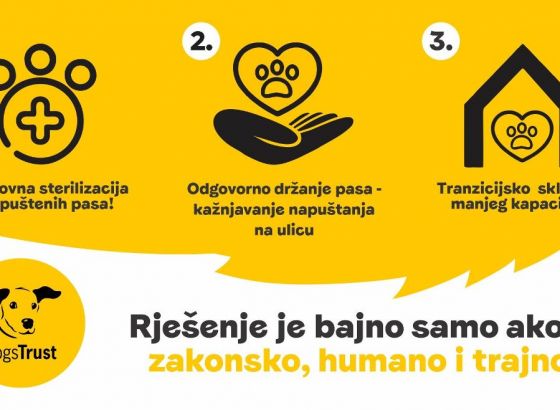 Problem pasa lutalica može biti riješen trajno samo uz jaku inicijativu lokalnih vlasti