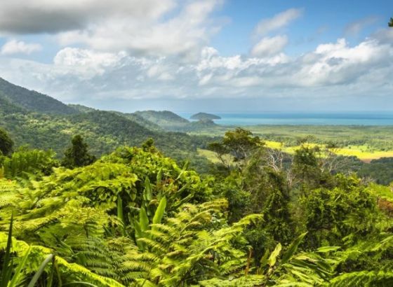 Australijska prašuma Daintree vraćena tradicionalnim vlasnicima