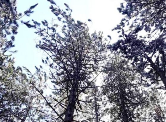 U Kantonu Sarajevo ponovo dostupni svi podaci o kvalitetu zraka