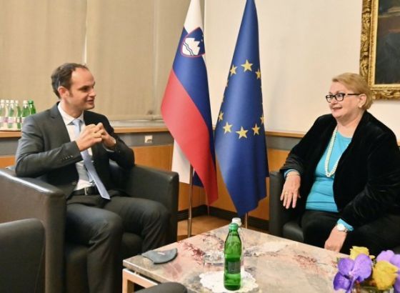 Turković u Ljubljani: Bez stabilne BiH, nema stabilnog regiona