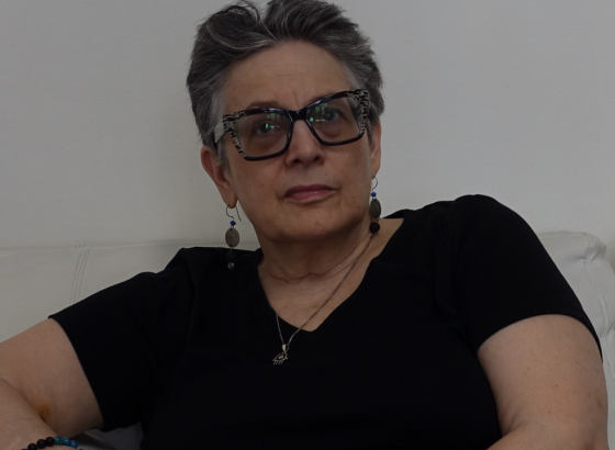 Prof. Tanya Domi, žena koja je uklanjala bh. političare sa političke scene