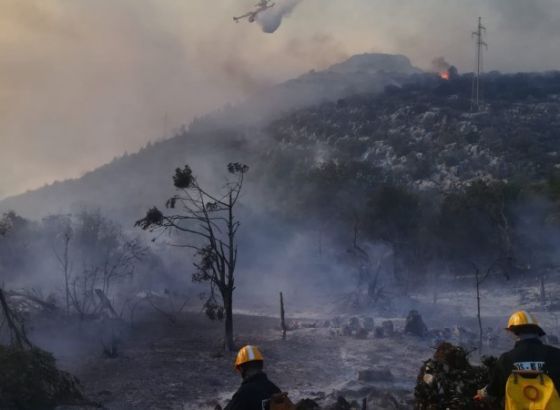 Kod Makarske izgorjelo 40 hektara šume i makije, požar gase i dva kanadera