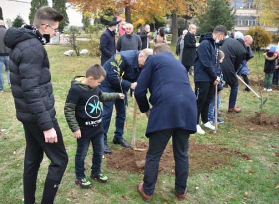 Osnovci i srednjoškolci u ZDK-u počeli sadnju 8.372 stabla u dvorištima škola