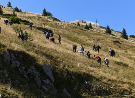 KS - Do 25. novembra jesenja akcija pošumljavanja uz učešće 8.000 volontera