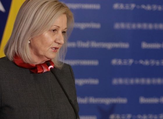 Krišto: Samo dijalogom se mogu riješiti stvari u interesu BiH
