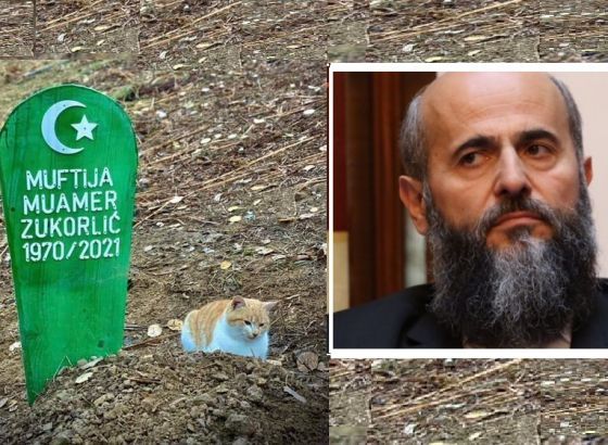 Dirljiva scena na Zukorlićevom mezaru: Njegov mačak ga ne napušta