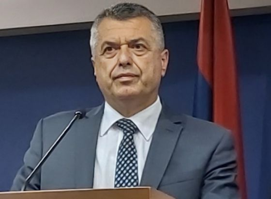 Bratić:Reakcija vlasti RS dodatni motiv bh.dijaspori da glasa na Općim izborima