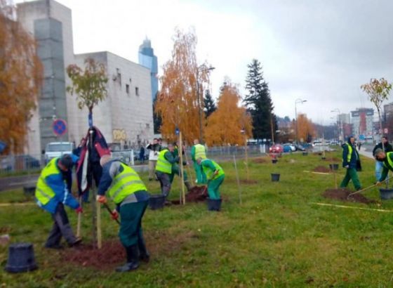 Projekt ozelenjavanja zelenih površina u Novom Sarajevu