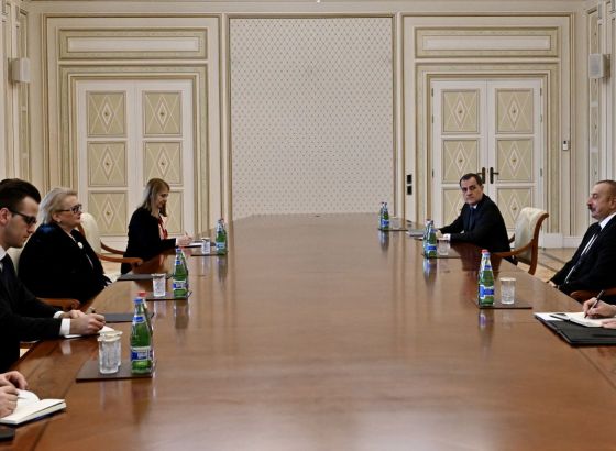 Turković s Aliyevim: Razgovor o prijetnji miru i stabilnosti naše zemlje i regiona