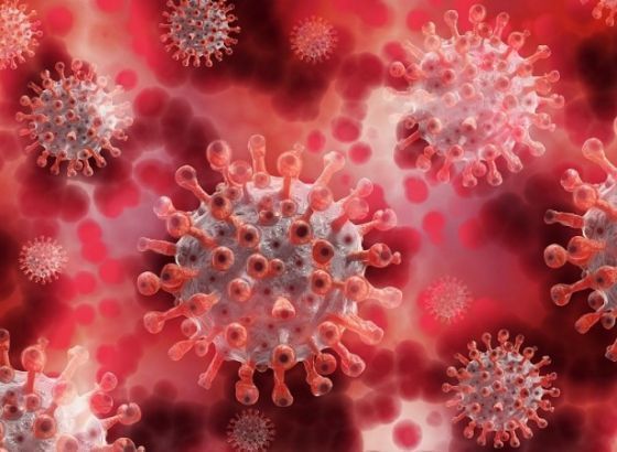 U Crnoj Gori više novozaraženih, manje hospitaliziranih i umrlih