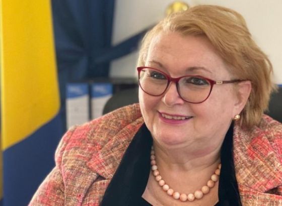Turković na konferenciji 'BiH - 30 godina moderne nezavisnosti'