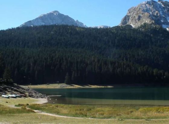 Krug 99 - Više od 150 godina uzurpacija zemljišnih posjeda, BiH mora donijeti zakon na nivou države