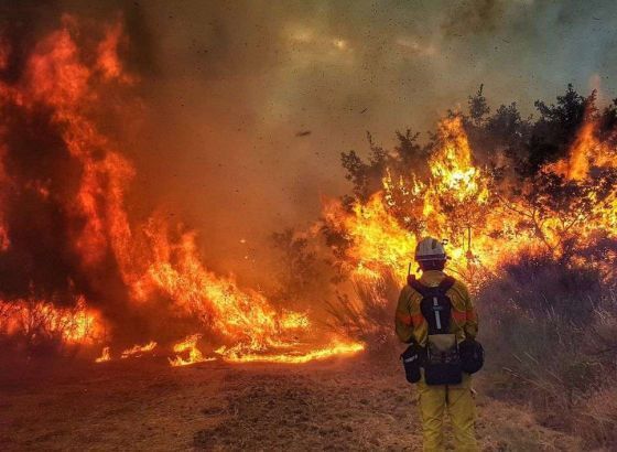 UN: Svijet se mora pripremiti za još ekstremnije šumske požare