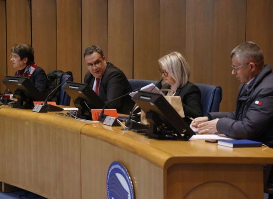 Gušić: Političke stranke iz budžeta ostvarile 81,12 posto od ukupnih prihoda