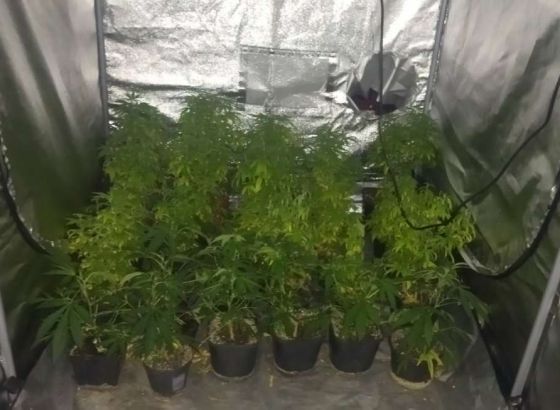 Uhapšena osoba u čijem je stanu pronađena laboratorija za uzgoj i proizvodnju marihuane