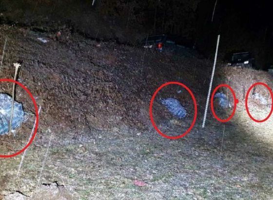 Na granici Srbije i Crne Gore zaplijenjeno više od 42 kg marihuane