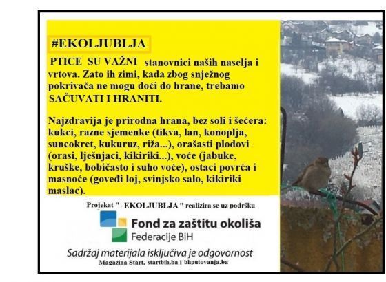 Željeli biste se pobrinuti za gladne ptice zimi.Evo kako ih pravilno nahraniti