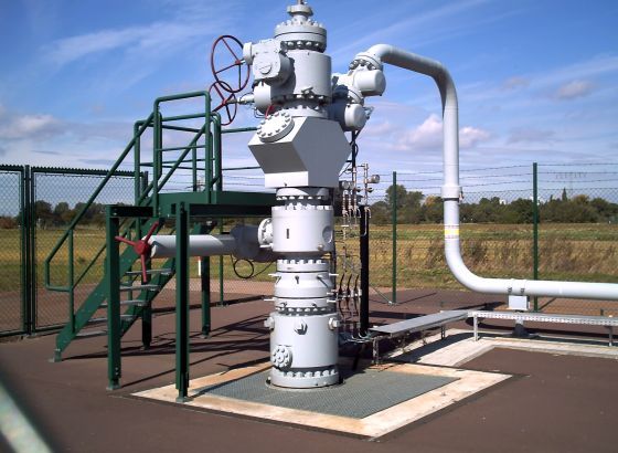 Putin odlučio da 'neprijateljske' zemlje prirodni gas moraju plaćati u rubljama