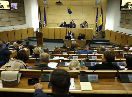 Predstavnički dom prihvatio predloženi zakon o dječijem dodatku i pravima porodilja