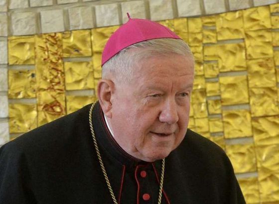 Hočevar: Posjet pape Franje Srbiji je uvijek realan