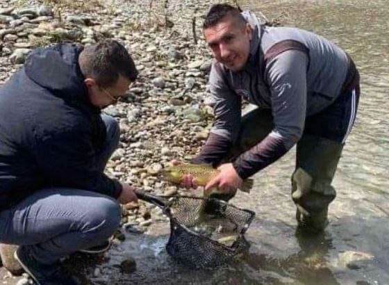 Goražde: U rijeku Drinu pušteno oko 10.500 komada potočne pastrmke