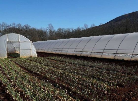 Naša stranka Zenica - Neophodni jasni programi ruralnog razvoja