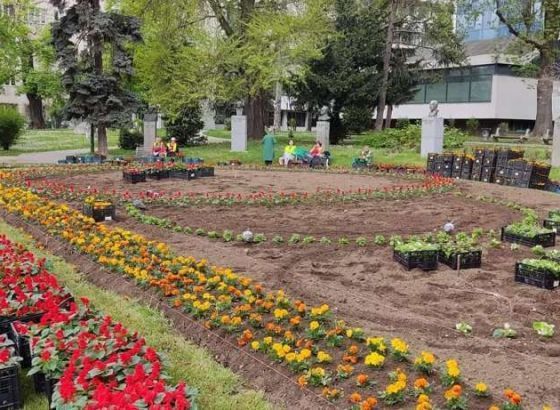 Velikim cvjetnim krugovima od 8.000 cvjetova u Malom parku počelo ukrašavanje sarajevskih parkova