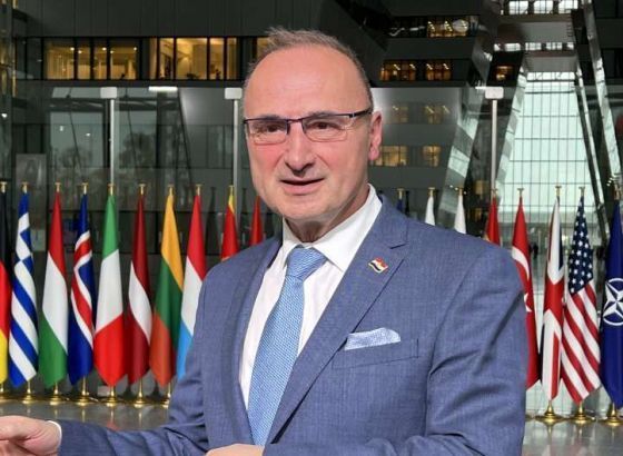 Grlić Radman: Još jednom pokušati promijeniti Izborni zakon u BiH