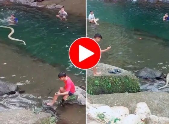 VIRALAN VIDEO: Ogromna zmija doplivala među plivače u rijeci (VIDEO)