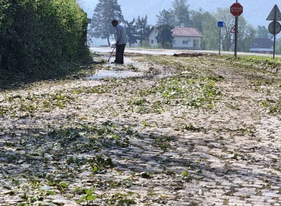 Hrvatska: Stradalo između 150 i 200 poljoprivrednih gospodarstava