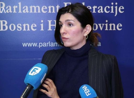 Čudić: Dodik najveća sigurnosna prijetnja u regiji
