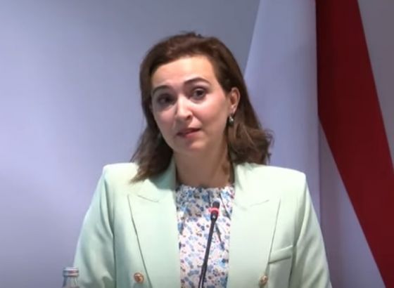 Zadić: Za Austriju je prioritet da BiH dobije istinsku perspektivu pristupanja EU