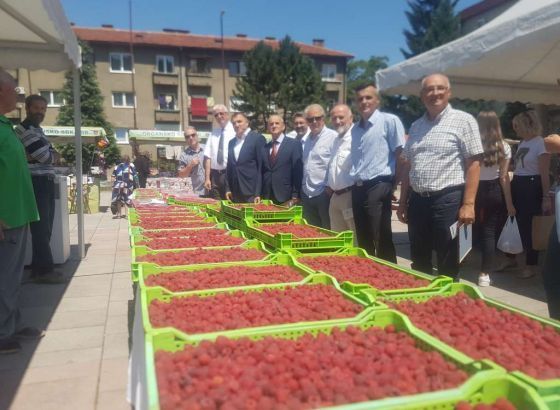 Ministar Dedić otvorio 'Dane maline' u Novom Travniku: Potražnja za bh. malinama u porastu