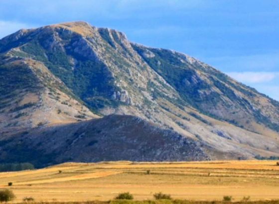 U Mohovu kod Iloka pronađen još jedan zub mamuta