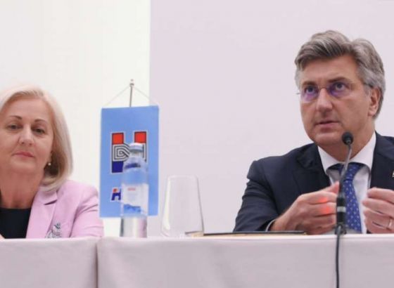 Krišto i Plenković s predsjednicima i članovima Koordinacije HDZ - a iz inozemstva
