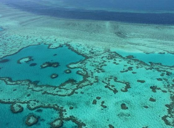 Australija zabranom rudnika uglja želi zaštititi Veliki koraljni greben