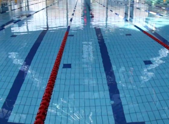 Plivanje - Mešetović i Bjelajac postigli 50. i 65. vrijeme u kvalifikacijama na EP u Rimu