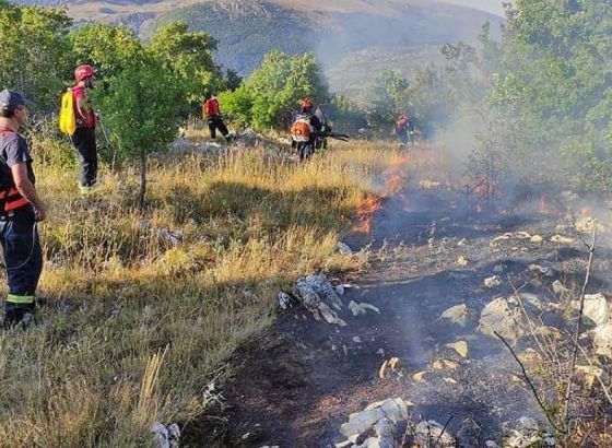 Tri kanadera i tri zračna traktora gasili požar u Vrpolju, objekti obranjeni