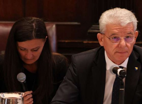 Džaferović u Harvardskom klubu o BiH i Ukrajini: Nakon embarga došao je genocid