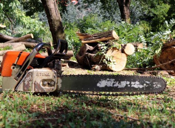 Najviše dozvola za boravak i rad stranaca Hrvatska izdala državljanima BiH