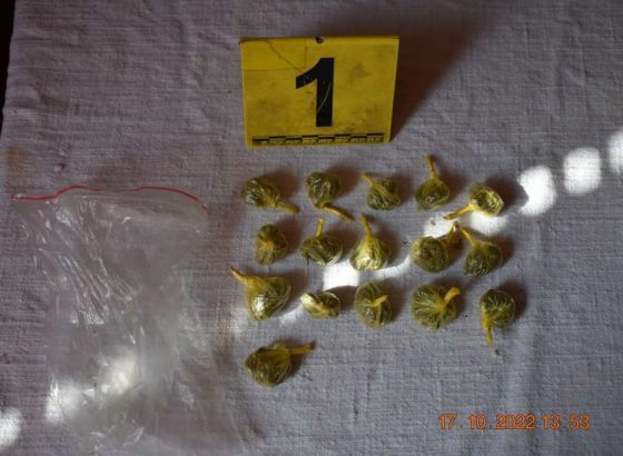Izvršenim pretresom u Zenici pronađena opojna droga