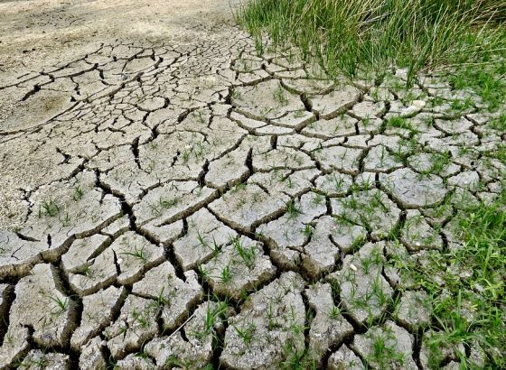 Klimatski samit u Egiptu: Planeta Zemlja šalje signale za uzbunu