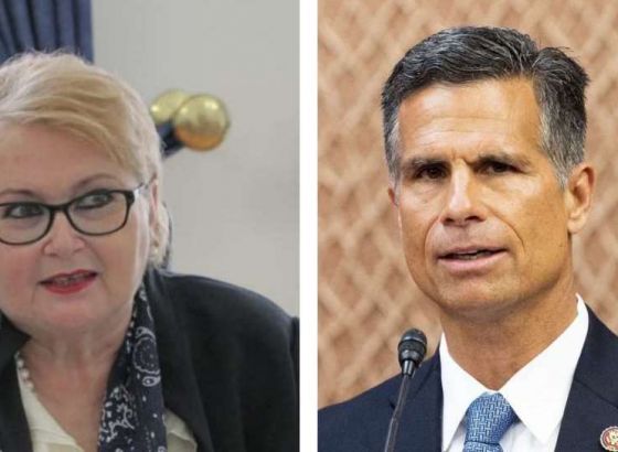 Turković i Hoekstra razgovarali o kandidatskom statusu za BiH na putu ka članstvu u EU