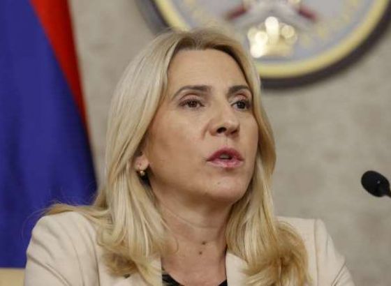 Cvijanović: Potrebno je produbiti već neko postojeće političko razumijevanje