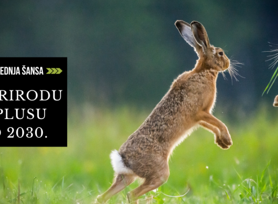 WWF: Budućnost prirode pod ozbiljnim je upitnikom, ali prilika još uvijek postoji