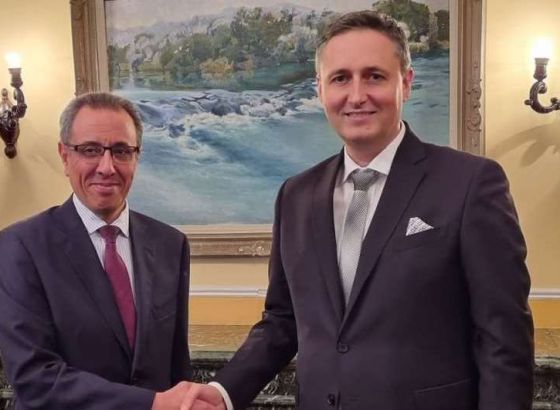 Bećirović - Sorour: Raditi na poboljšanju saradnje BiH i Egipta na svim poljima